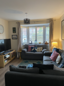 Living room before Shag Interior